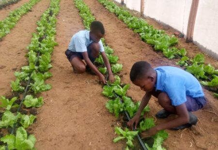 25. juni kl. 19.30: Charlotte Schuldt og Jan Østrup fortæller om baggrunden, samarbejdet og resultaterne af tre projekter som de arbejder med i Lupane, Zimbabwe.